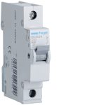 MU163A MCB 60A S.P 6K