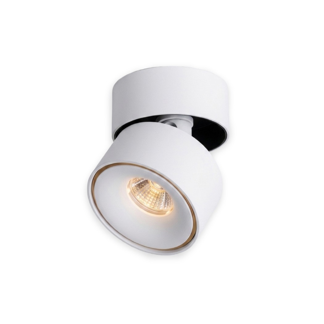 DL-10 IP20 WHITE  FREAM 10W CREE CHIP LIFUD DRIVER 2700K