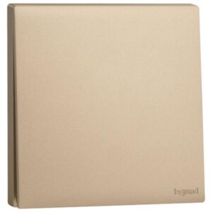 MEC21001RG- 1G 1W 16AX SWITCH RG - LEGRAND - OBRIA