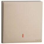 MEC21024RG- 1G 1W 20A DP SW + LED/EARTH RG - LEGRAND - OBRIA