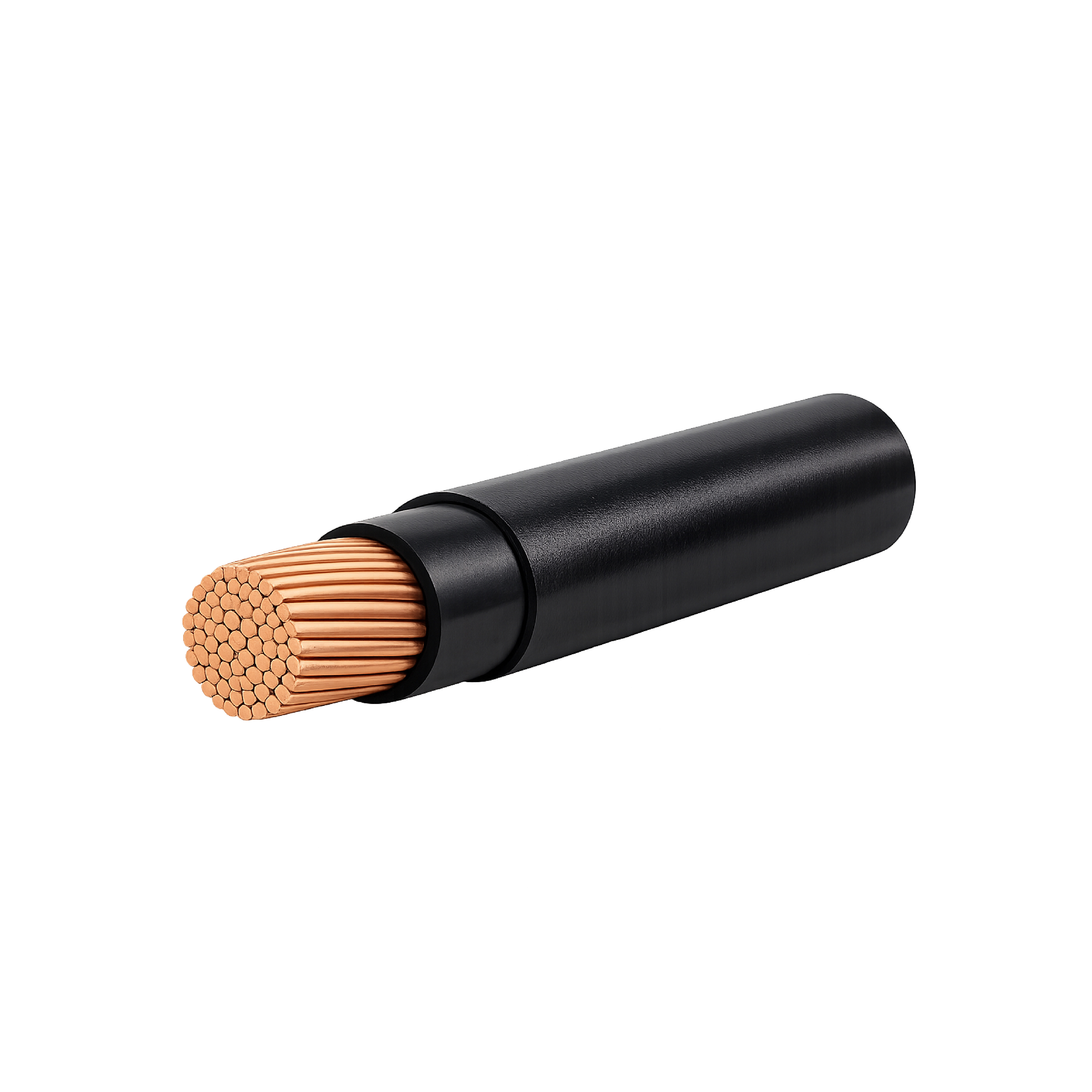 1x800MM CU/XLPE/PVC CABLE 600/1000 V 1MTR – ELSEWEDY